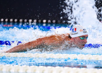 Natation : Angers, dernière étape avant les Mondiaux de Pékin