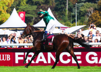 Prix de l’Arc de Triomphe : le pur-sang Daryz réalise un doublé historique