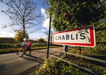 Running : grand cru pour le Marathon de Chablis