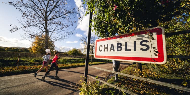Running : grand cru pour le Marathon de Chablis