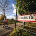 Running : grand cru pour le Marathon de Chablis
