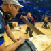 Bûcheronnage sportif : l'équipe de France sur le toit du monde ?