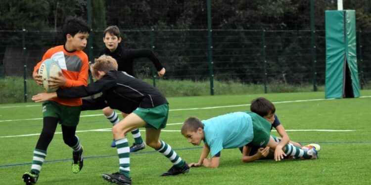 Rugby : dans les Yvelines, le rugby a le vent en poupe