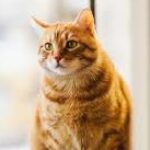 Illustration du profil de billy00xv